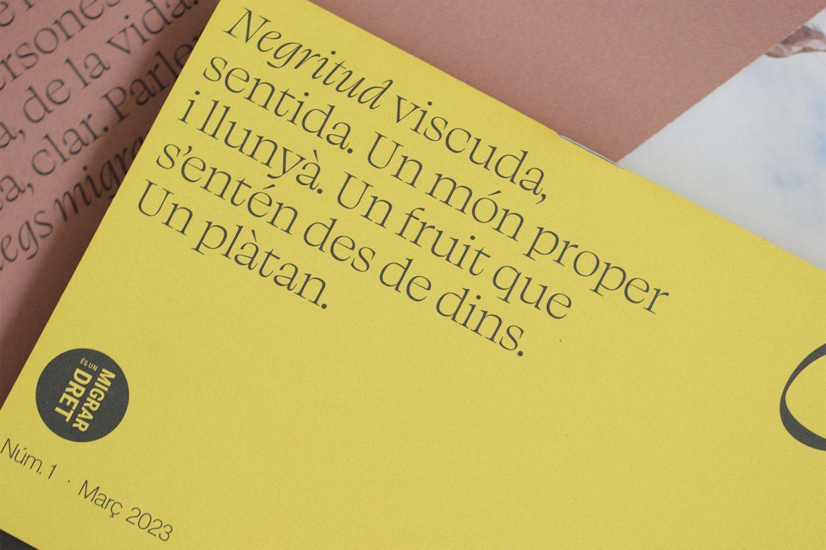 Convit/e, la revista de Mescladís 2