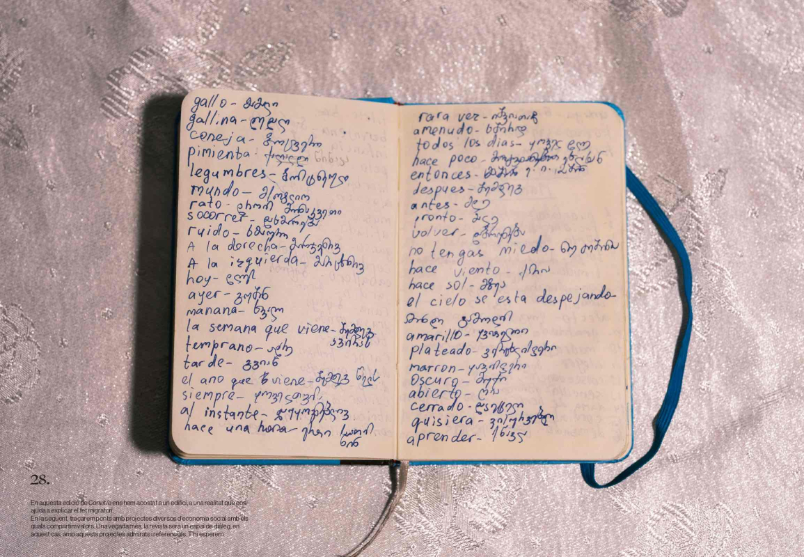 Convit/e, la revista de Mescladís 8