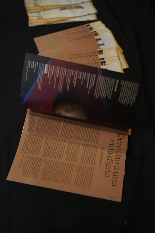 Convit/e, la revista de Mescladís 11