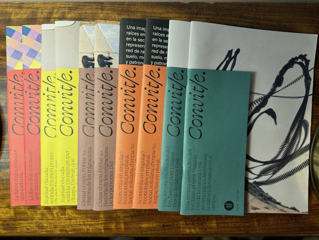 Convit/e, la revista de Mescladís 12