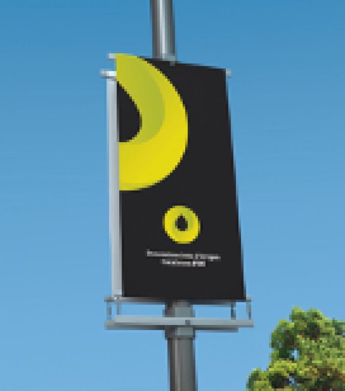 Olis amb DOP Catalanes 4