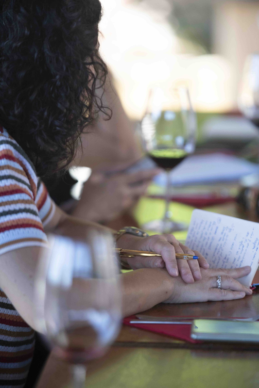 Dosterras, un món nou fet de mons antics 9