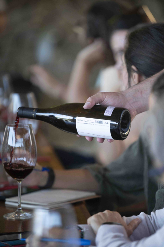 Dosterras, un món nou fet de mons antics 10