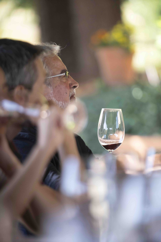 Dosterras, un món nou fet de mons antics 11