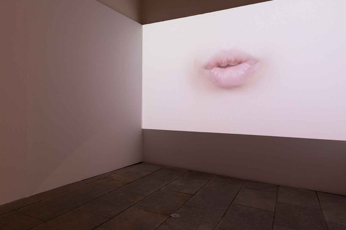 Arts Visuals 6