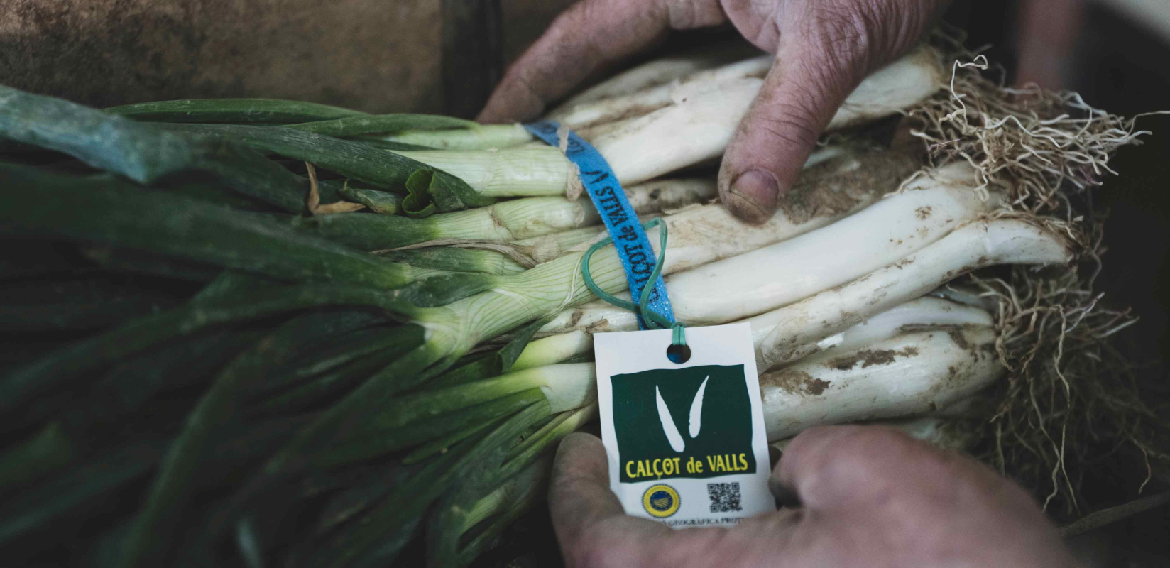 Enlairem les DOP-IGP Catalanes 0