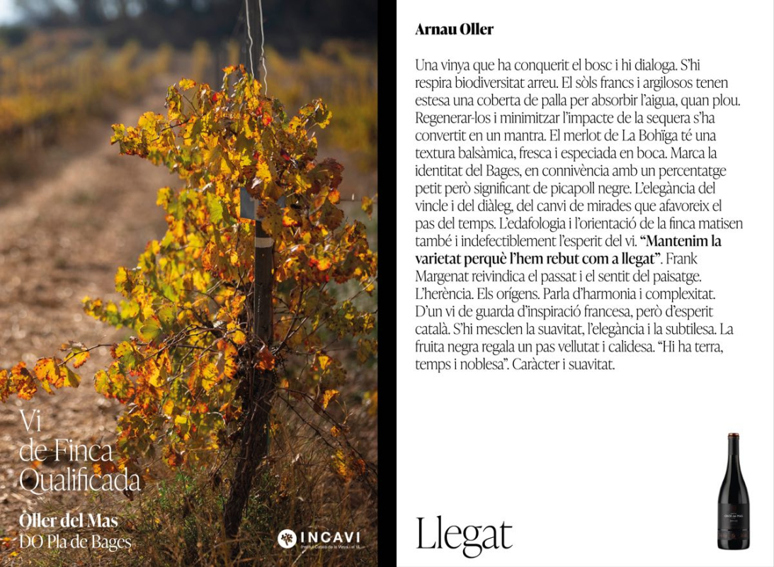 Vins de finca qualificada 3