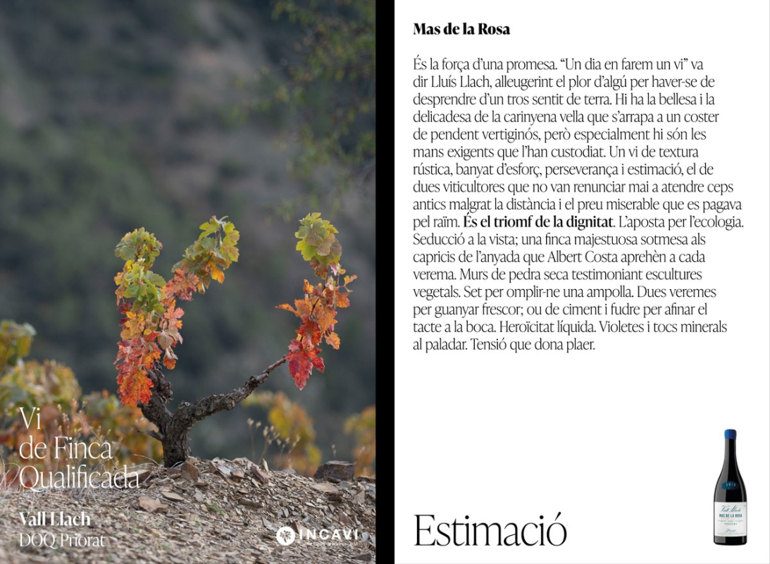 Vins de finca qualificada 4