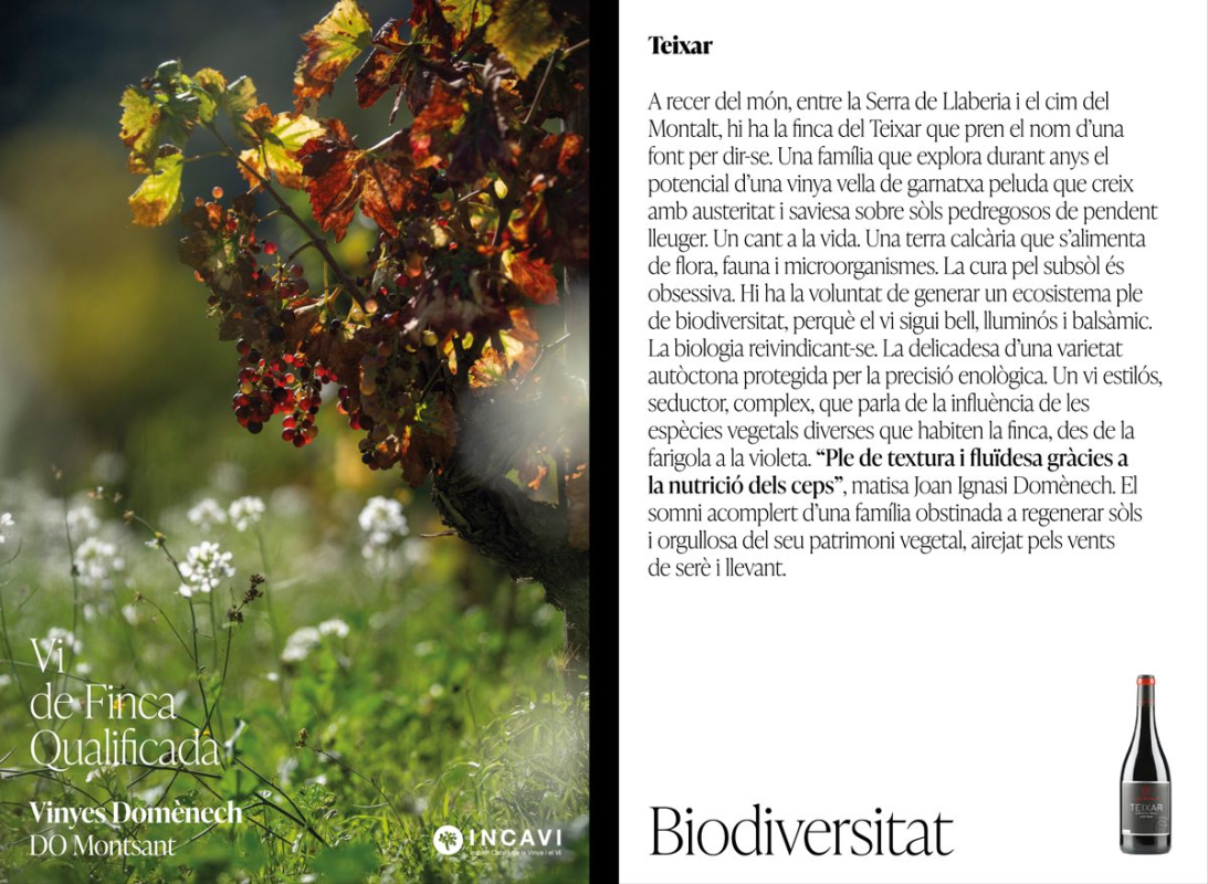 Vins de finca qualificada 7