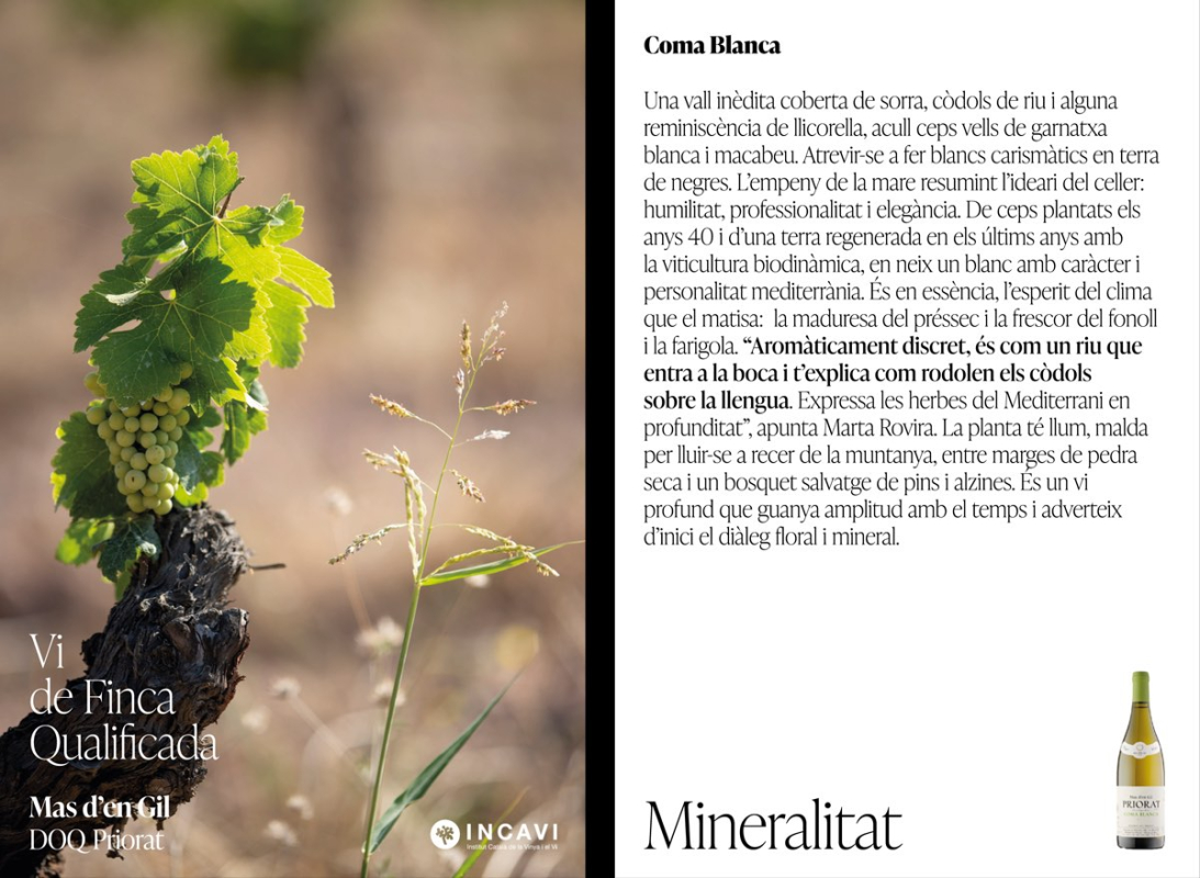 Vins de finca qualificada 8