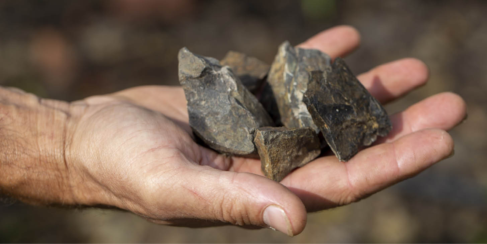 Agricultura regenerativa 0