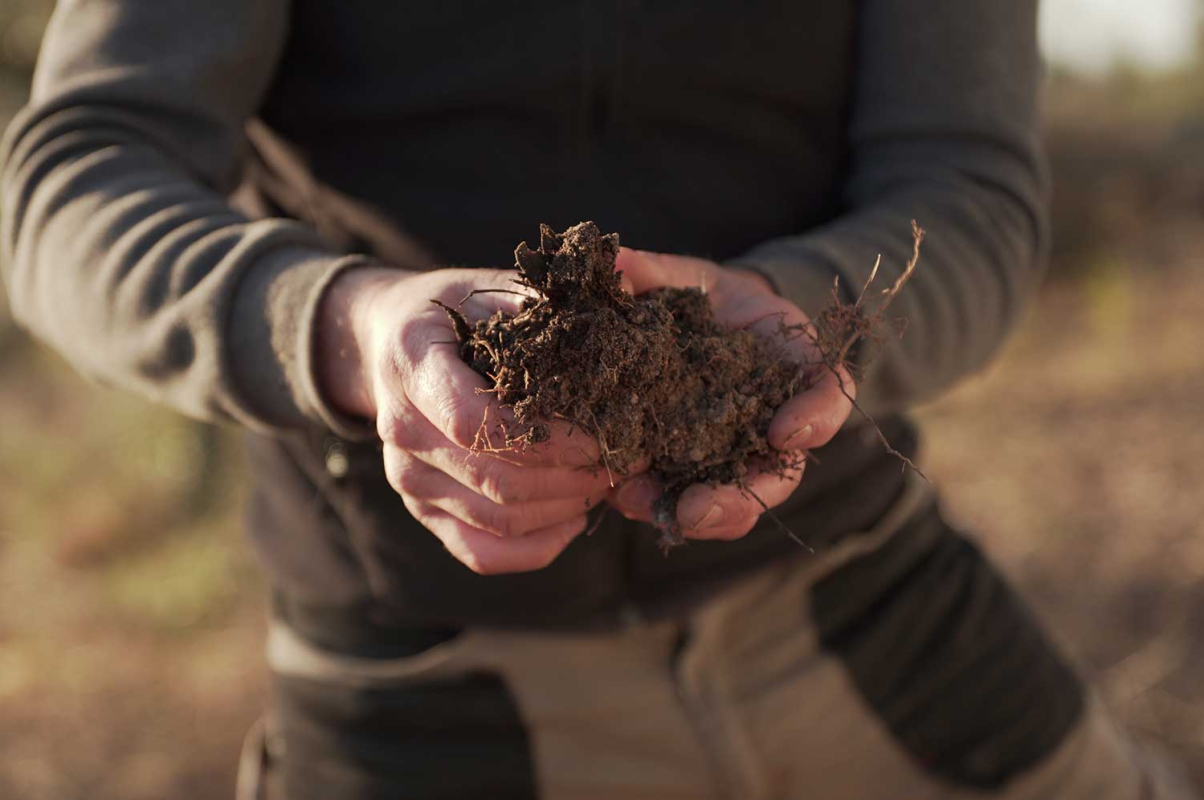 Agricultura regenerativa 1