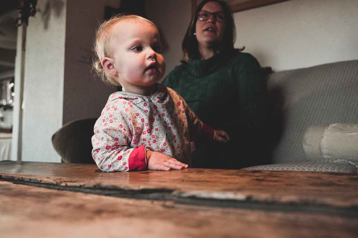 Agricultura regenerativa 2