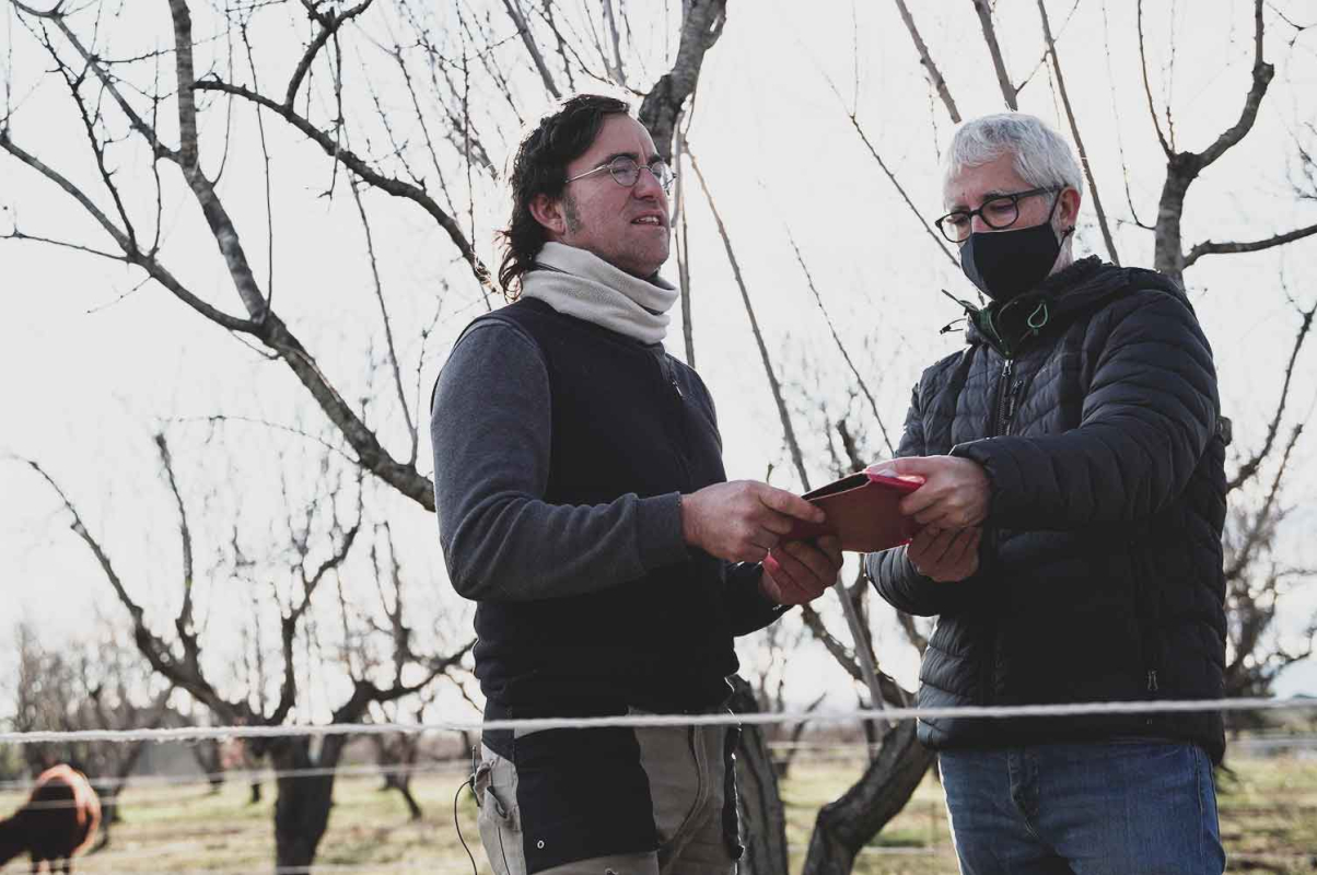 Agricultura regenerativa 7