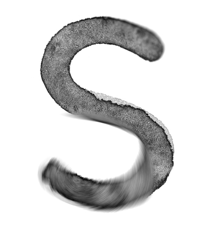 Recuperem la terra, cuidem oliveres, fem paisatge 3