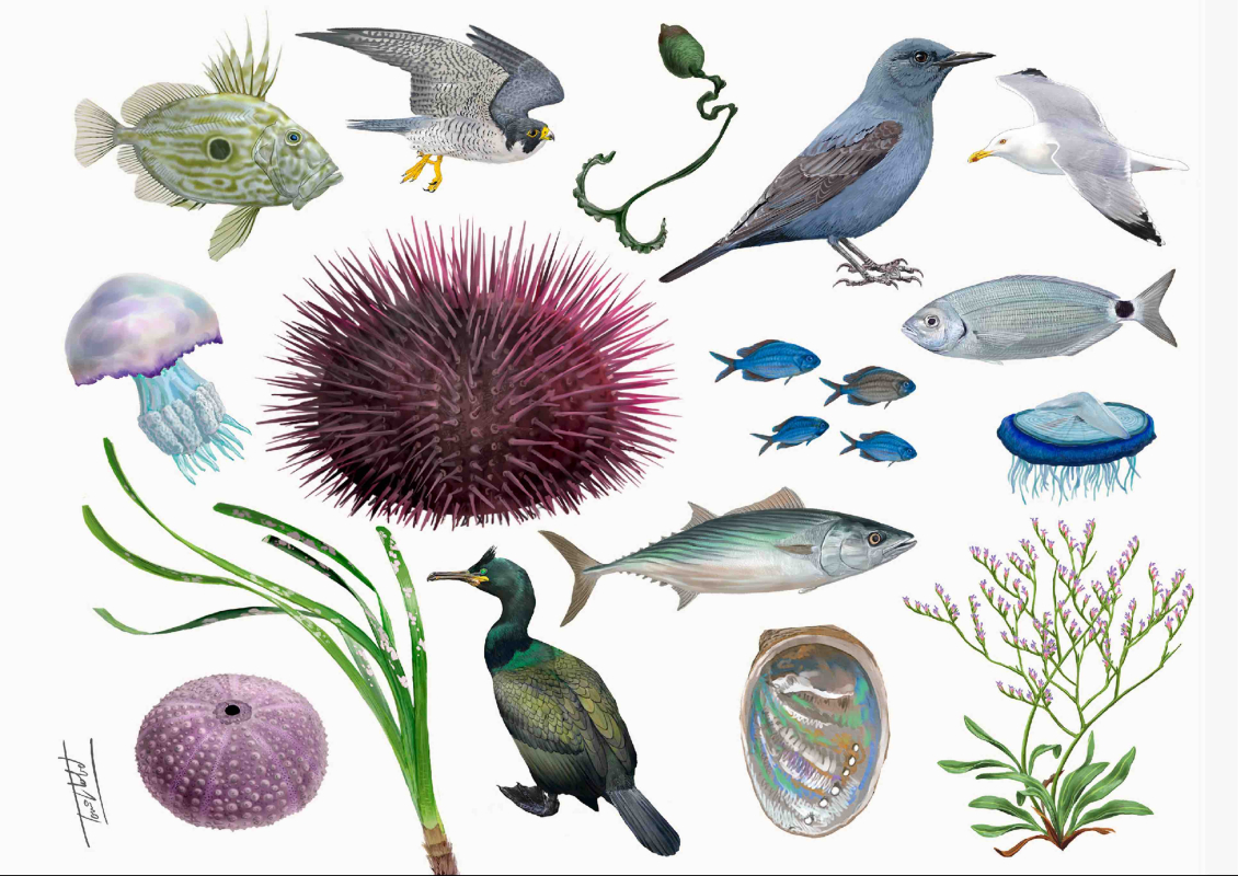 Mosaic de Família Espelt 0