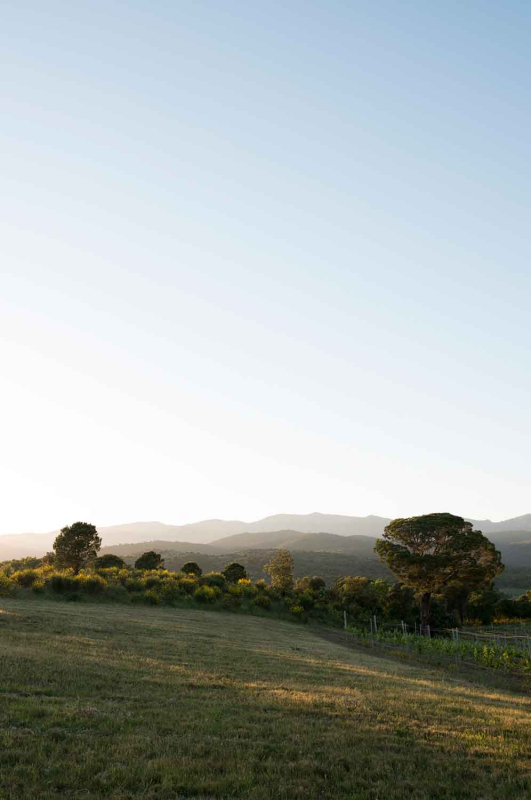 La màgia d’allò natural 0