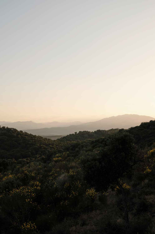 La màgia d’allò natural 1