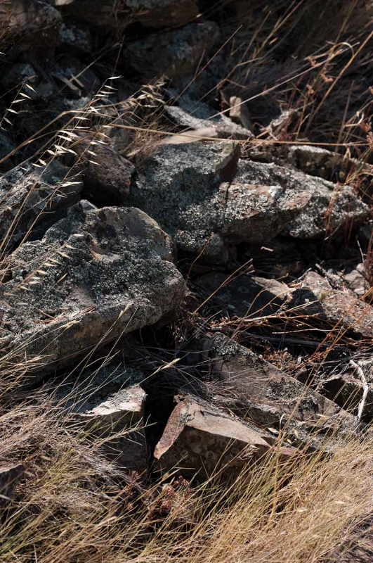 La màgia d’allò natural 2