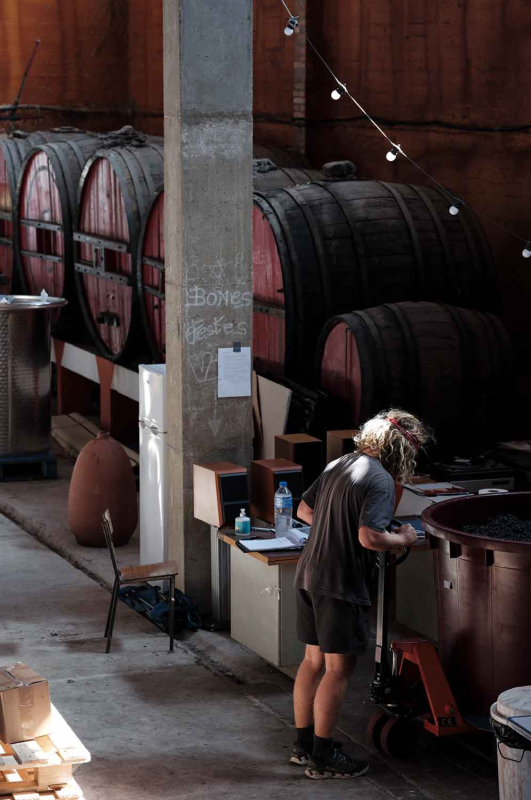 La màgia d’allò natural 4