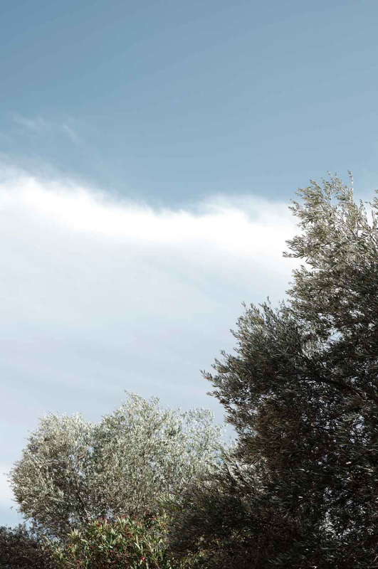 La màgia d’allò natural 5