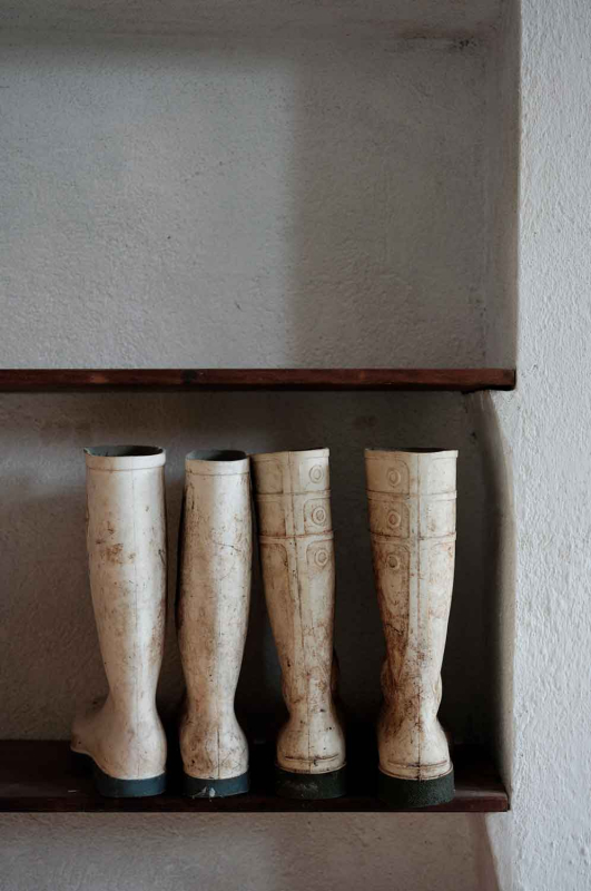 La màgia d’allò natural 6