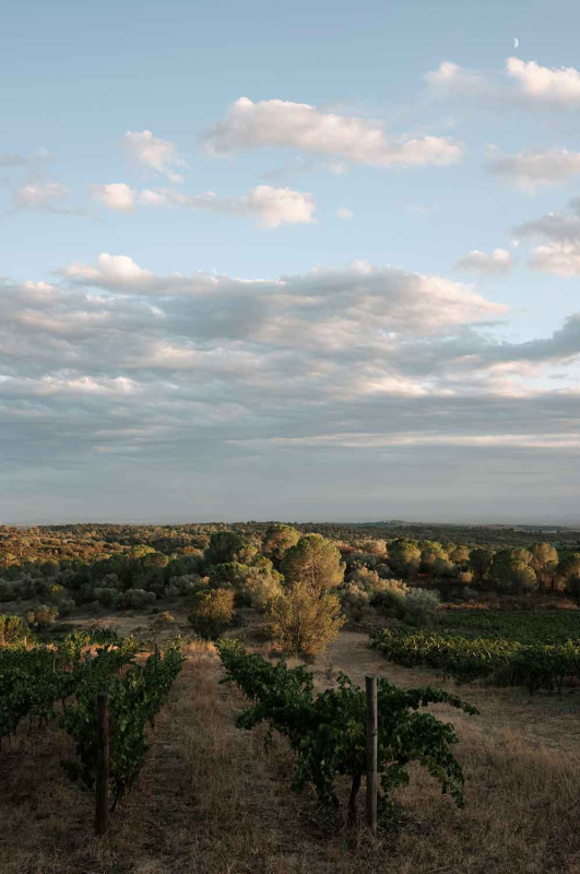 La màgia d’allò natural 8