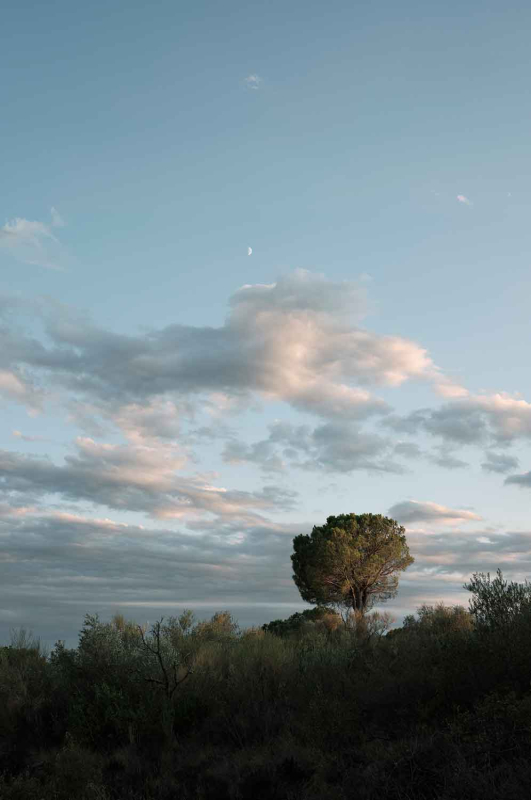 La màgia d’allò natural 9