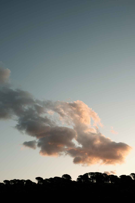 La màgia d’allò natural 11