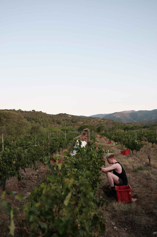 La màgia d’allò natural 12