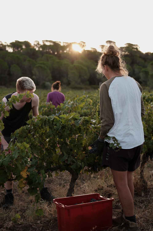 La màgia d’allò natural 16