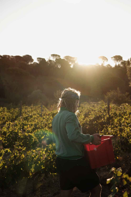 La màgia d’allò natural 17