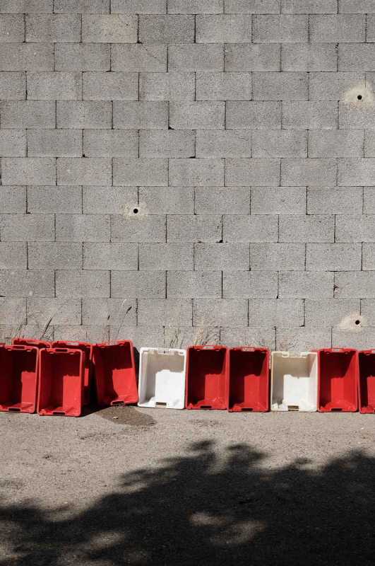 La màgia d’allò natural 19