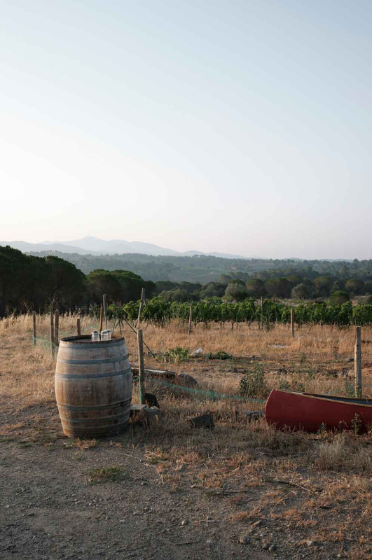 La màgia d’allò natural 21