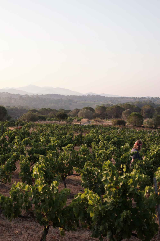 La màgia d’allò natural 22