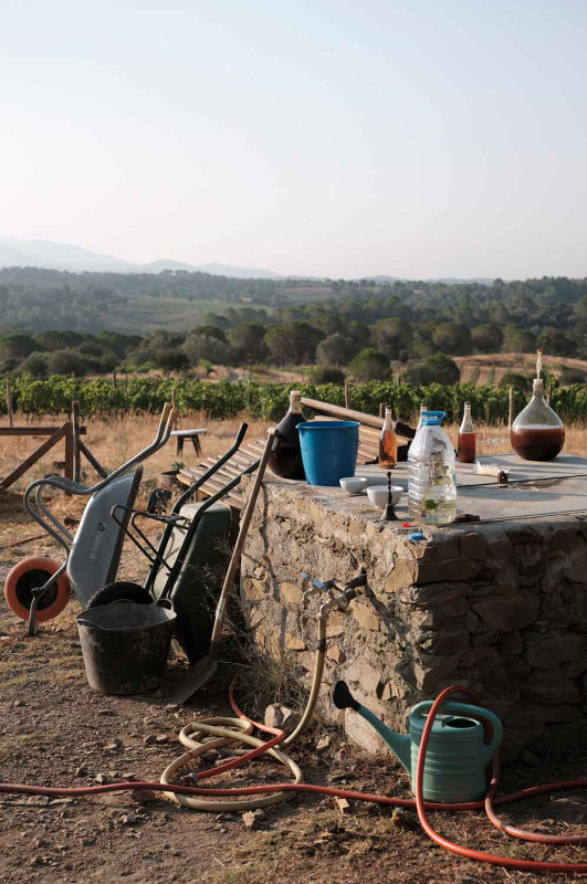 La màgia d’allò natural 23